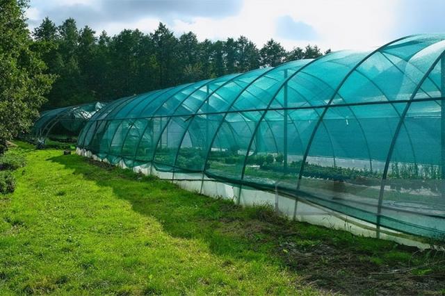 Agricultural Shade Nets